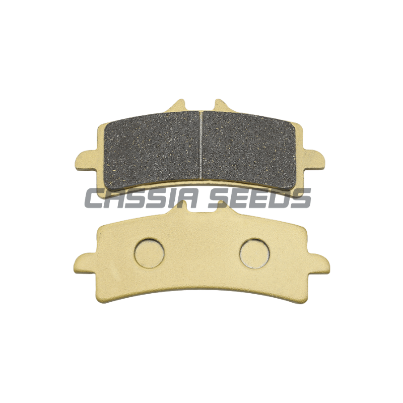 Pastilhas de freio dianteiro e - Carbon Ceramic Motorcycle Brake Rotor avaliação e preço